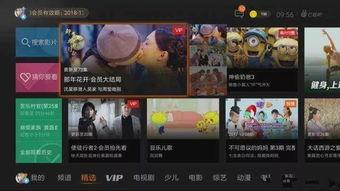 国产视频合集